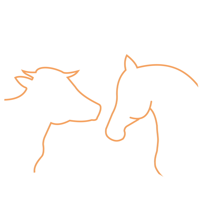 Erinnerungen schaffen